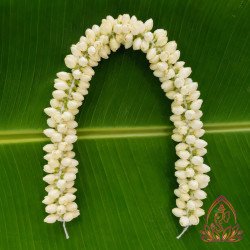 JASMINE SMALL BOX — 3 ft