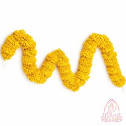 YELLOW MARIGOLD STRINGS