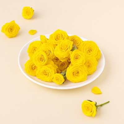 YELLOW ROSE